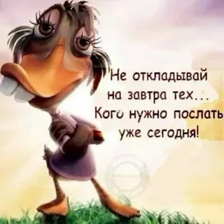 Просто смешные картинки
