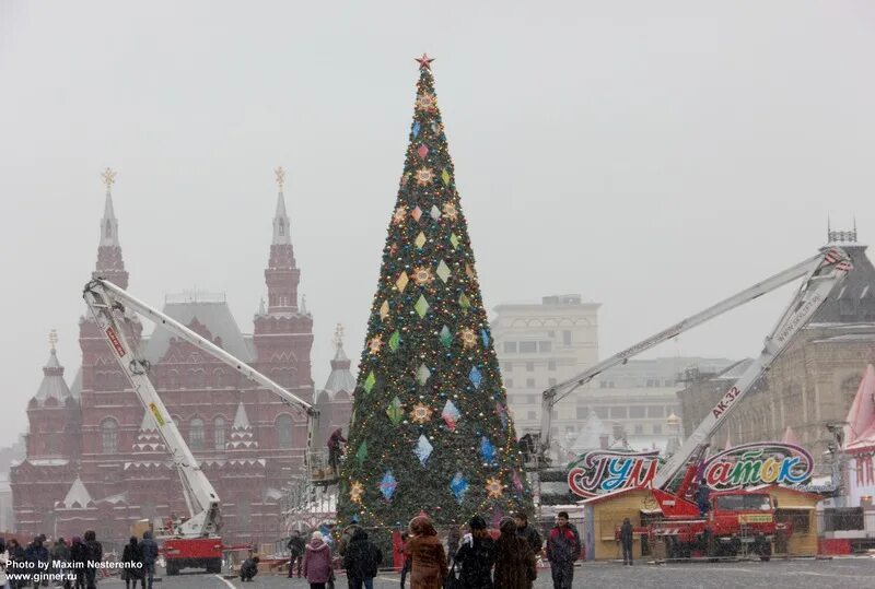 Когда установят елку на красной площади. Центральная московская елка. в москве поставили елку. елки установленные в москве. москва центральной площади ёлочка.