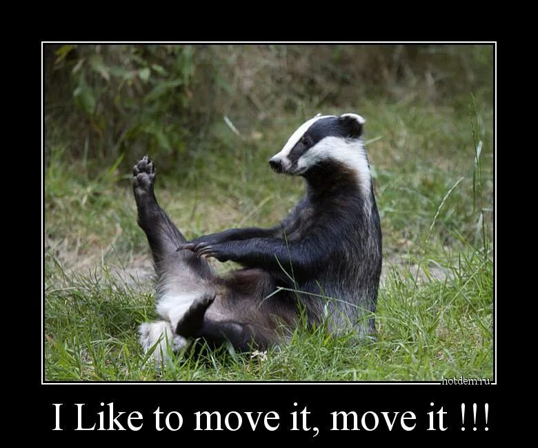 Включи i move it move it. I like to move it. i like it move it move it. mauricio i cant move it move it anymore. i can t move it move it мем.