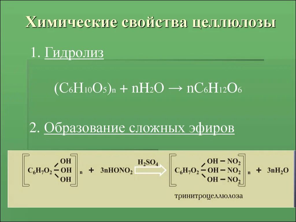 Целлюлоза вступает в гидролиз. Специфические реакции целлюлозы. Образование сложных эфиров целлюлозы уравнение реакции. Химические свойства целлюлозы реакция гидролиза. Уравнение образования эфира целлюлозы.