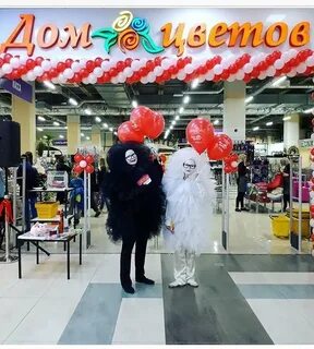 Дом цветов белгород