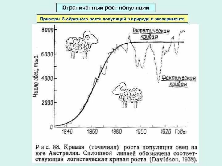 Факторы ограничивающие рост популяции. Ограниченный рост. Оппортунистическая популяция примеры. Карта популяции людей. Уравнение ограниченного роста популяции.