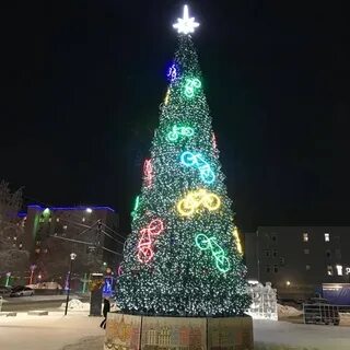 Ели в бузулуке
