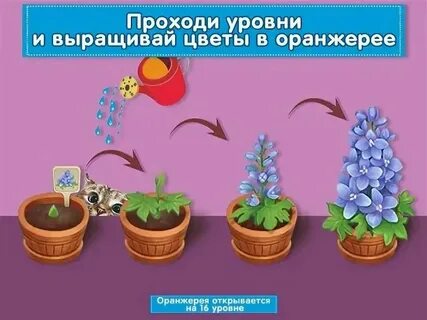 Как прорастить букет