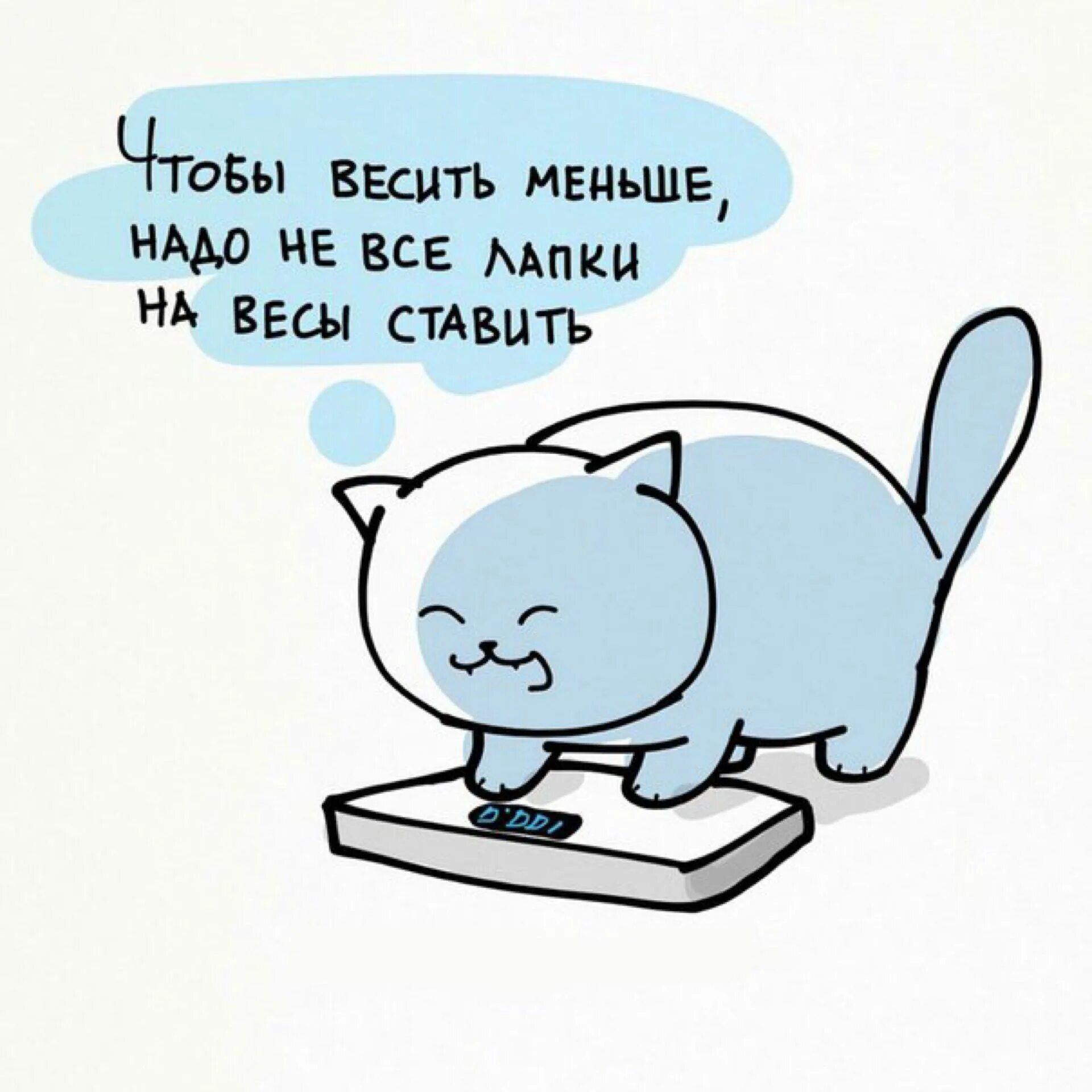 Весы шутки. Кирилл анастасин комикаки. шутки про весы. юмор про вес. кот худеет.