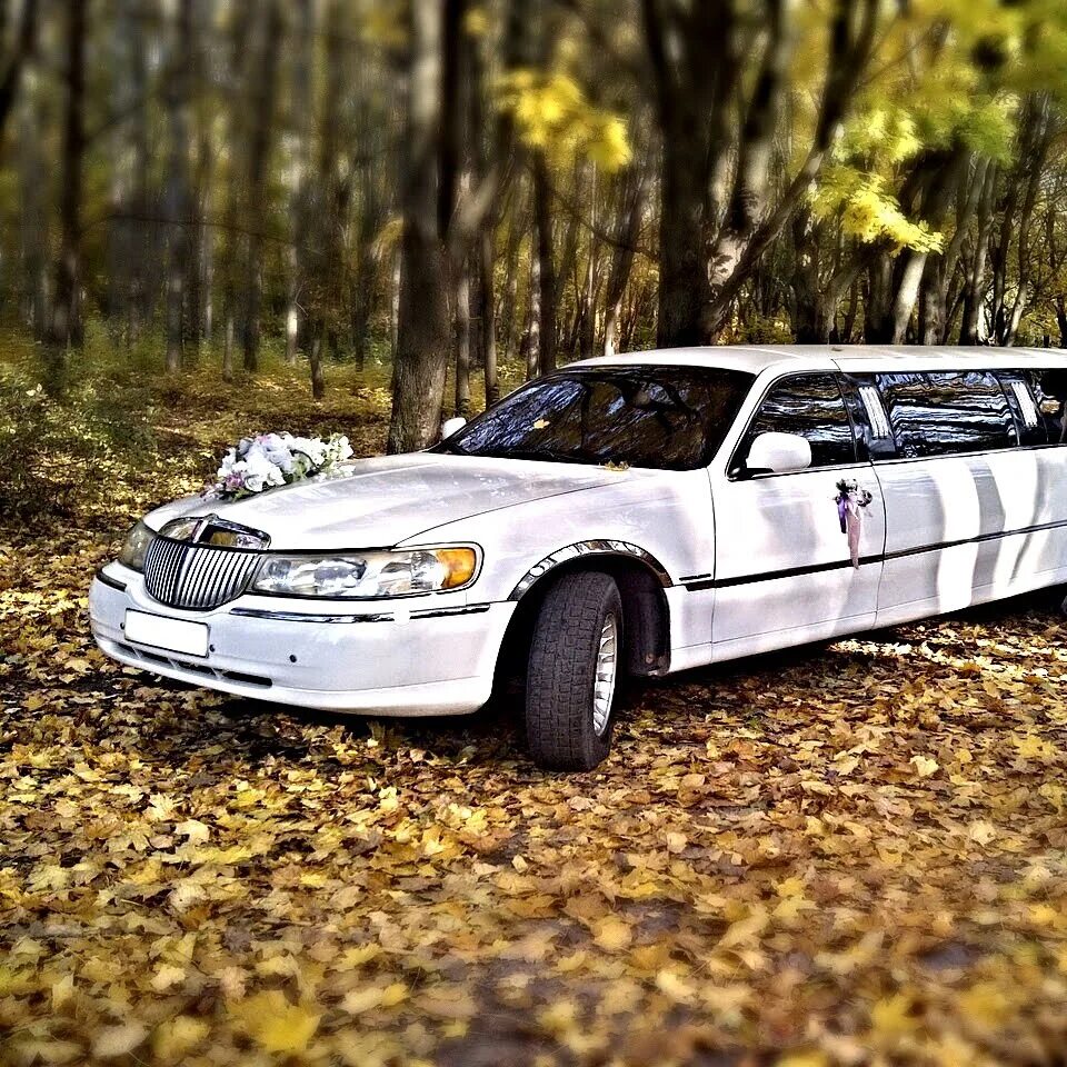 Лимузин лизогуба. Свадебный лимузин Линкольн. Lincoln Town car свадьба. Lincoln Town лимузин свадебный. Линкольн Таун кар 1 лимузин.