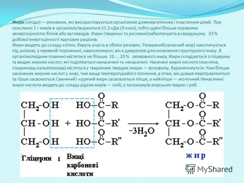 Жиры кдж г. Насичені та ненасичені. Які сполуки входять до складу жирів. Які речовини входять до складу тваринних жирів?. Насичені вуглеводи.