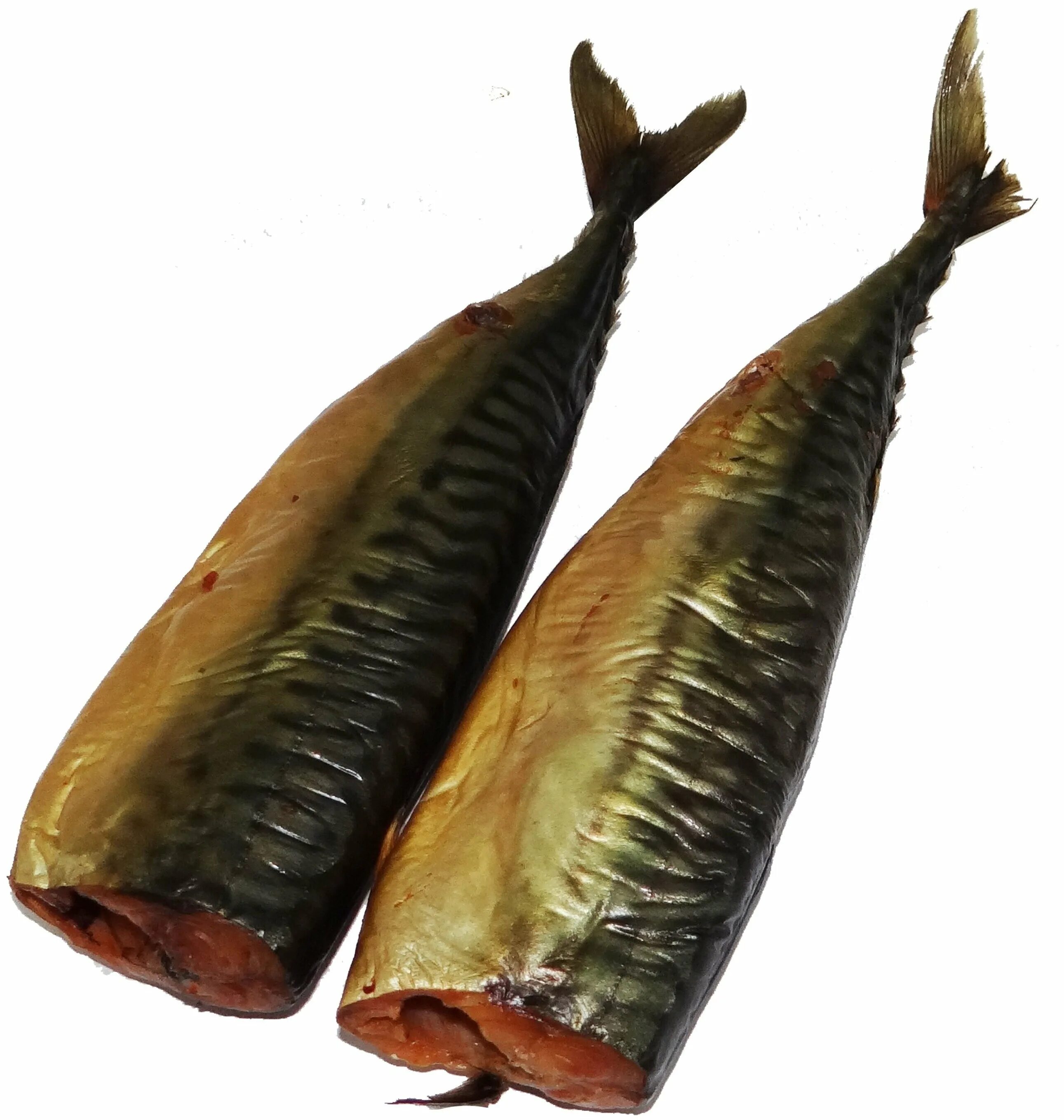 Копченая рыба скумбрия. Скумбрия холодного копчения. макрель холодного копчения. рыба скумбрия копченая. скумбрия холодного копчени.