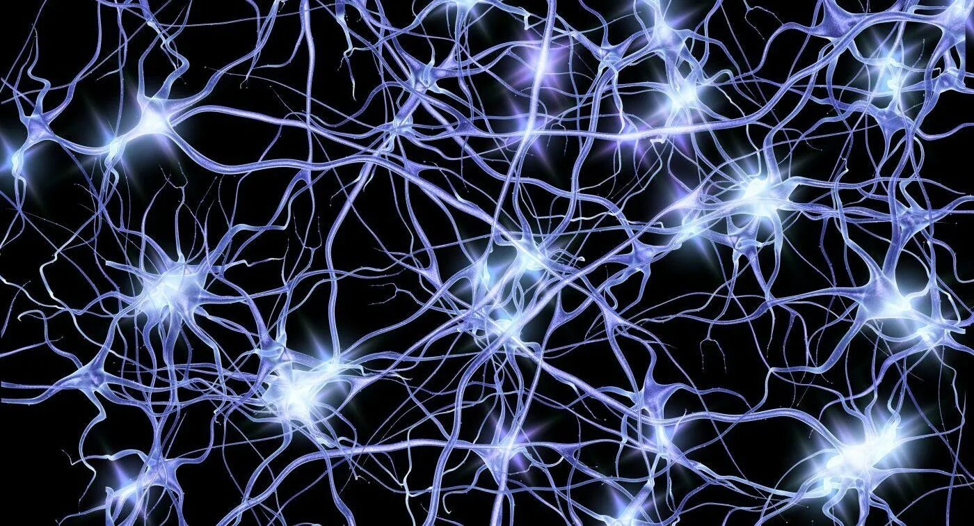 Грег Данн Нейроны. Нейросеть Нейроны. Нервная система человека Нейрон. Нейроны человеческого мозга. Клетки мозга виды