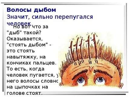 Почему волосы стоят дыбом