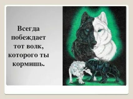 Какого волка ты кормишь