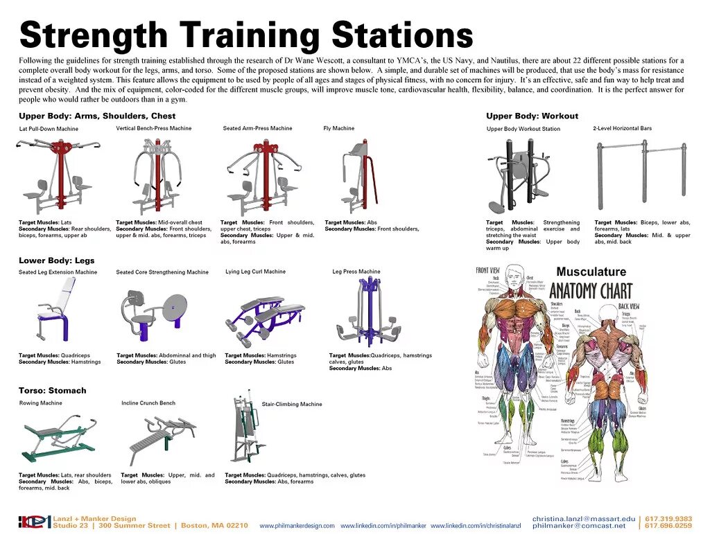 Strength перевод с английского. Circuit workout. strength activity fitness. circuit training. upper body strength.