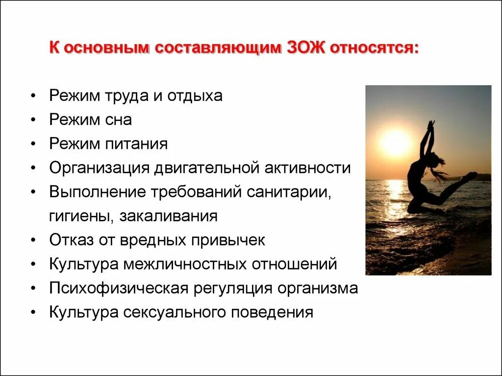Является важной составляющей в организме