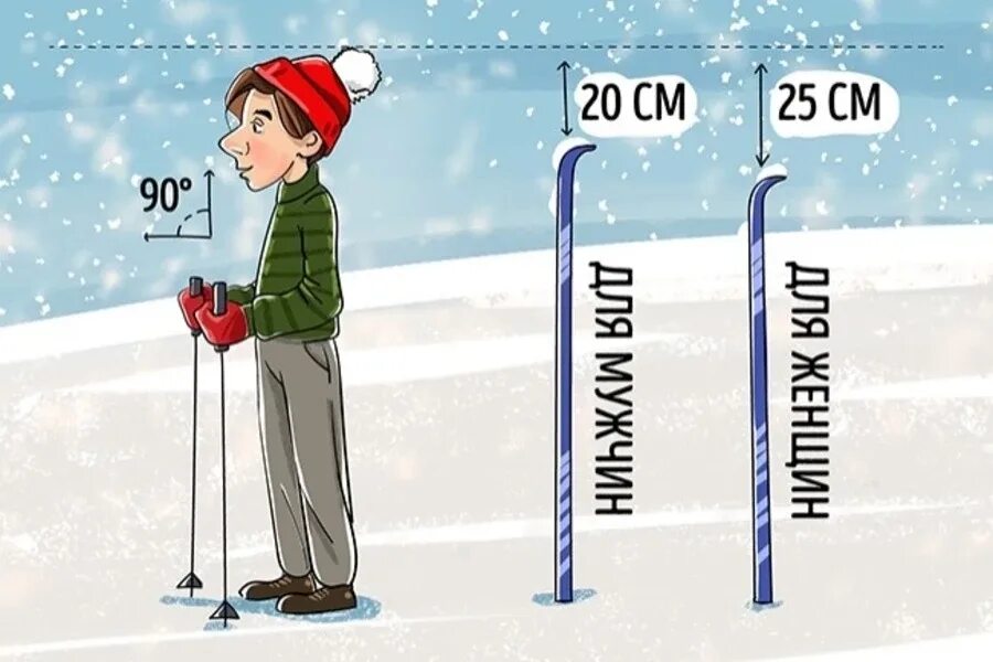 Как купить лыжи ребенку по росту таблица Горные и беговые лыжи: как выбрать для ребенка и для взрослого. Спорт-Экспресс