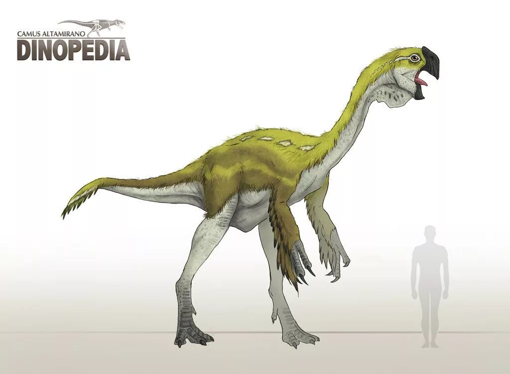 Гигантораптор. Gigantoraptor erlianensis. гигантораптор мир юрского периода. вики гигантораптор. гигантораптор размеры.