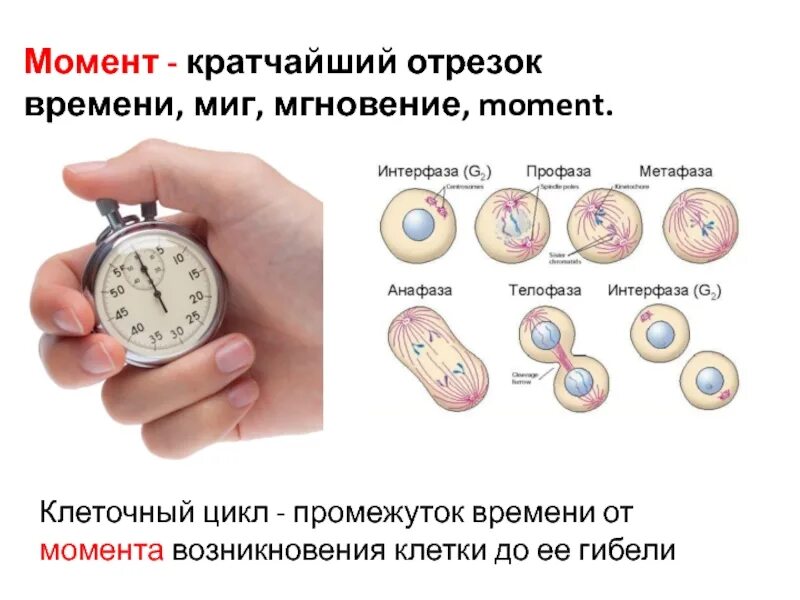 Что означает промежуток времени. Короткий отрезок времени. Промежуток времени. Миг отрезок времени. Краткий промежуток времени.