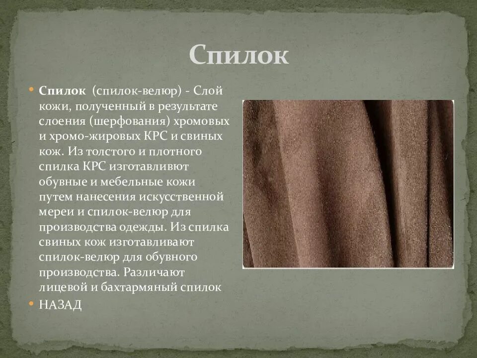 1 из видов кожи. 1 из видов кожи