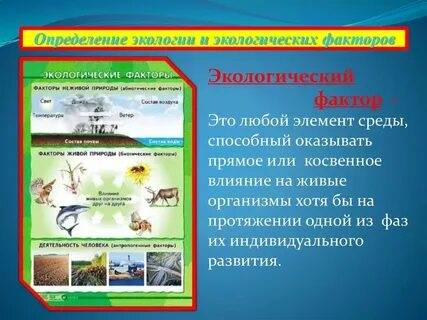 Природные условия в экологии