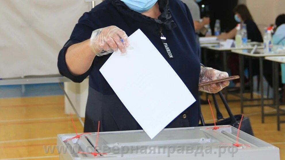Первыми на избирательный участок пришли. Кострома участки для голосования. Голосование 9 сентября картинка.