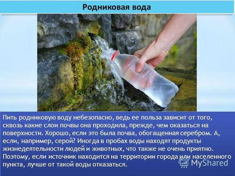 Какой источник можно использовать. Источник родниковой воды. родниковая вода польза. вода из родника. польза родниковой воды для человека.