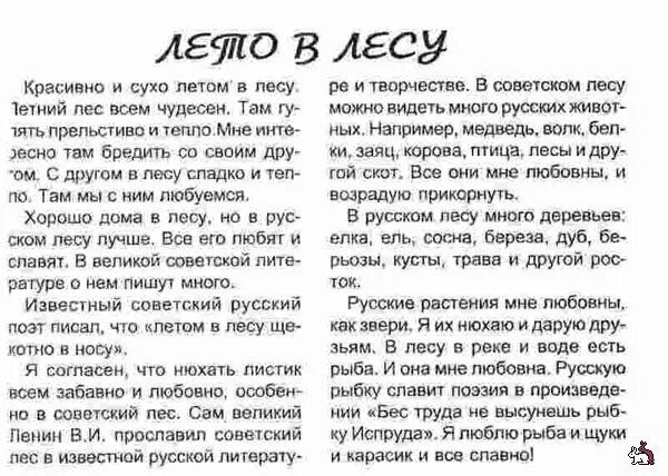 Сочинение почему я люблю лето. Сочинение про лето. Сочинение на тему лето. Летом в лесу сочинение. Сочинение как я был в лесу летом.