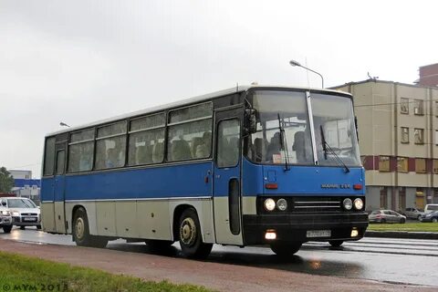 Автобус 256 спб