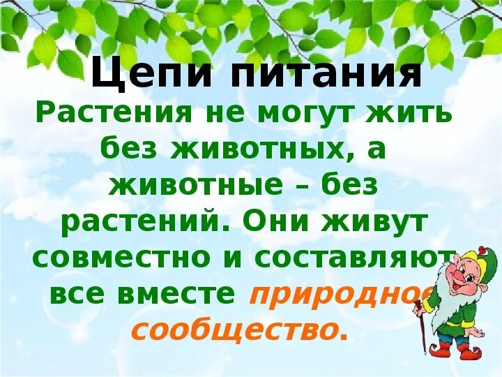 Почему лес называют сообществом 2 класс рассказ. Природное сообщество лес презентация. Презентация Лесное сообщество. Природное сообщество лес 3 класс. Сообщество леса 4 класс.