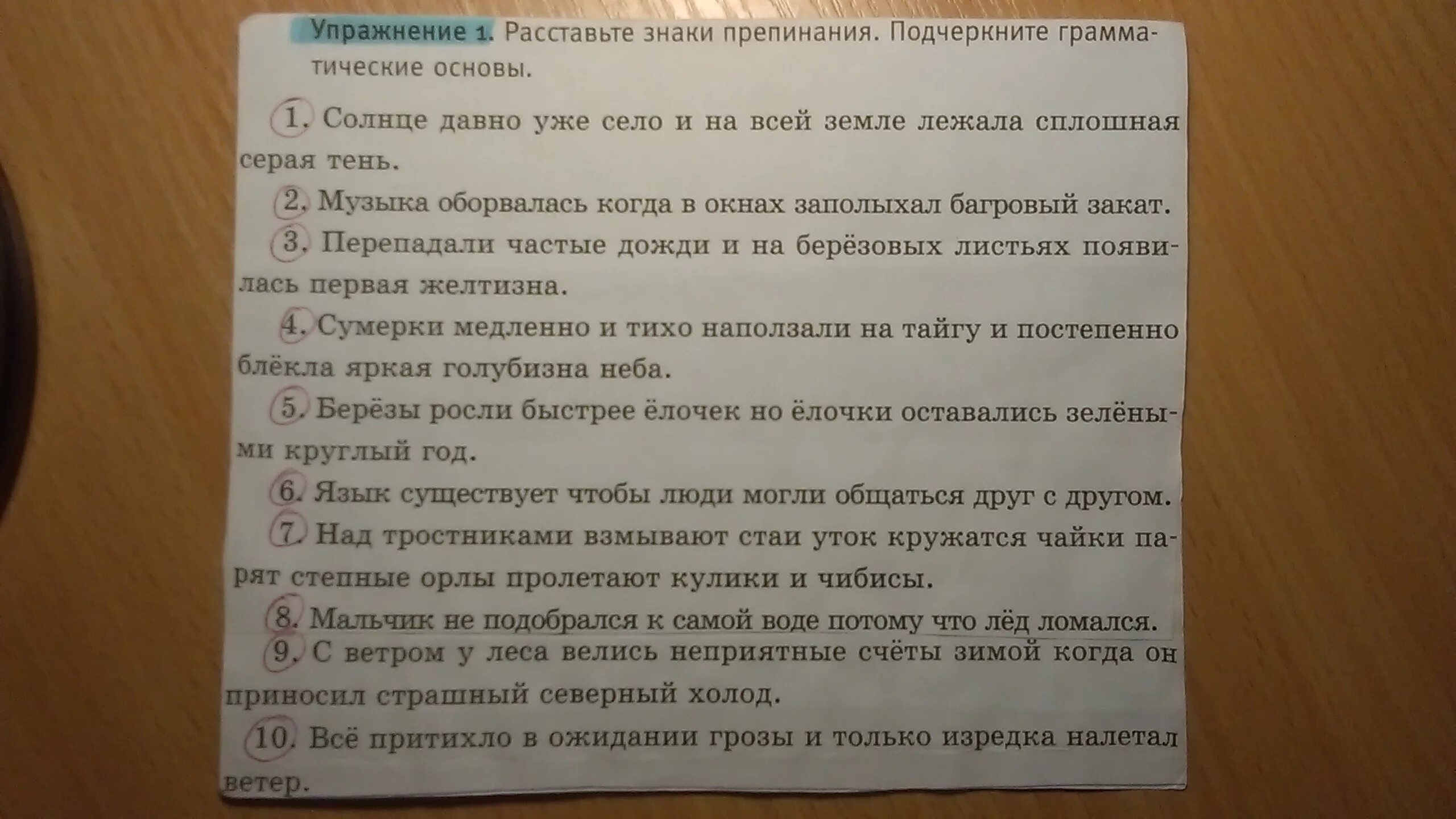 Расставьте знаки препинания. Почерк знаки препинания. Расставить знаки препинания в тексте 1 класс. Расставь предложения в правильном порядке. Нет слаще покоя покупаемого трудом