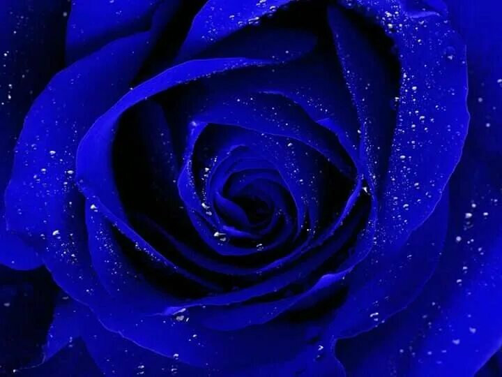 Красивый синий цвет. Красивый синий цвет. Голубой цвет. Ив кляйн blue pantone. Сапфировый цвет однотонный.