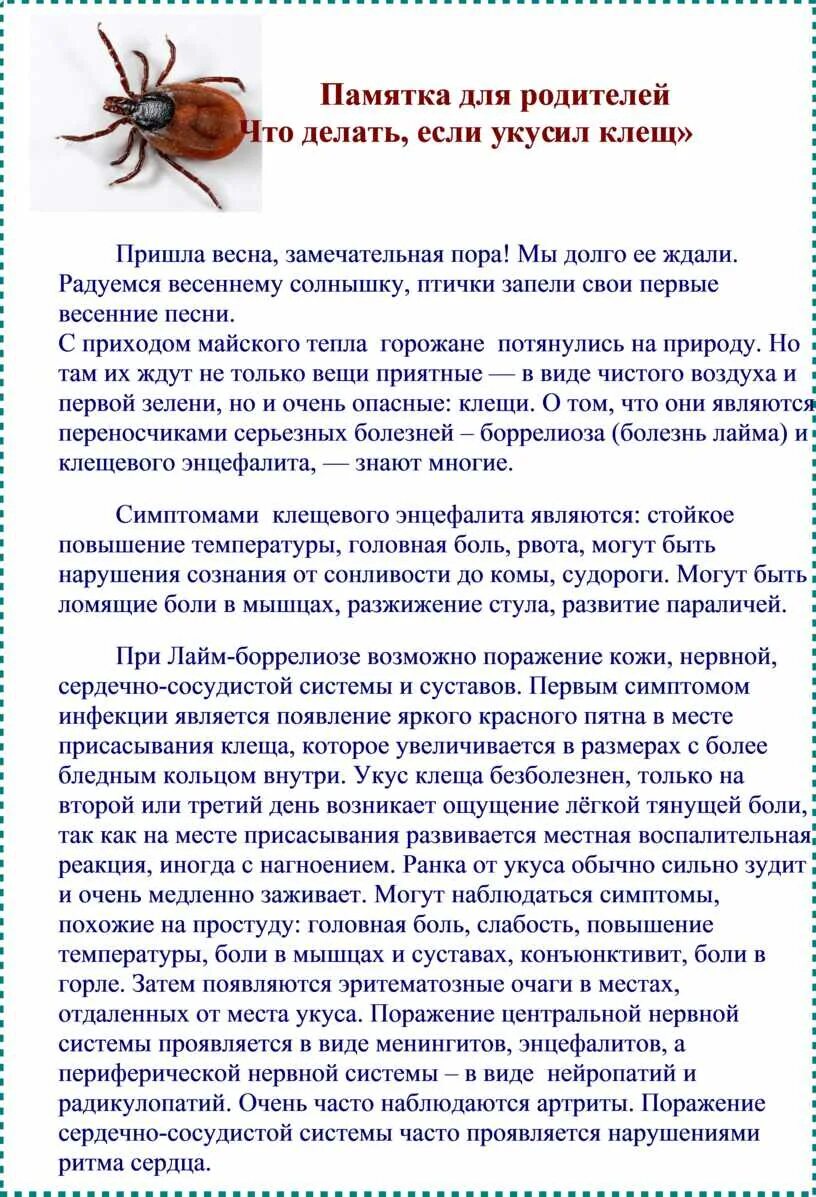 Симптомы энцефалита у человека после укуса клеща. Укус боррелиозного клеща симптомы. Клещевой боррелиоз памятка. Укус клеща через 2 недели. Как выглядит укус клеща на 2 день.