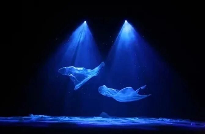 Снится белая земля. Черно белые сны. Черно белые сны. Владислав крапивин айсберги проплывают рядом. Видеть во сне над водой цветы.