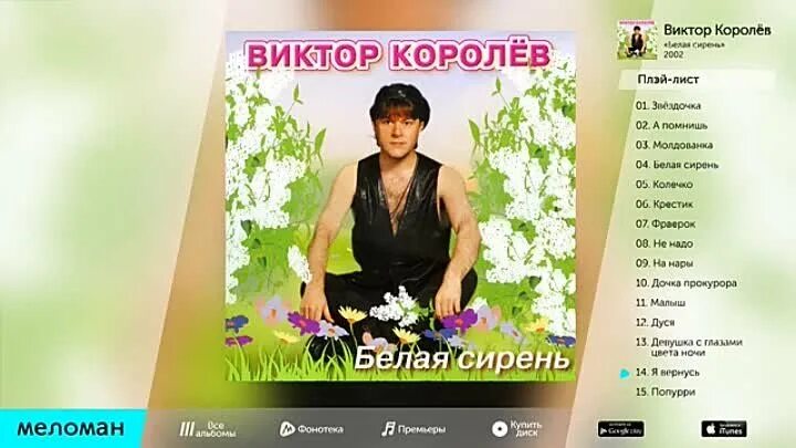 Наташа Королева белая сирень.