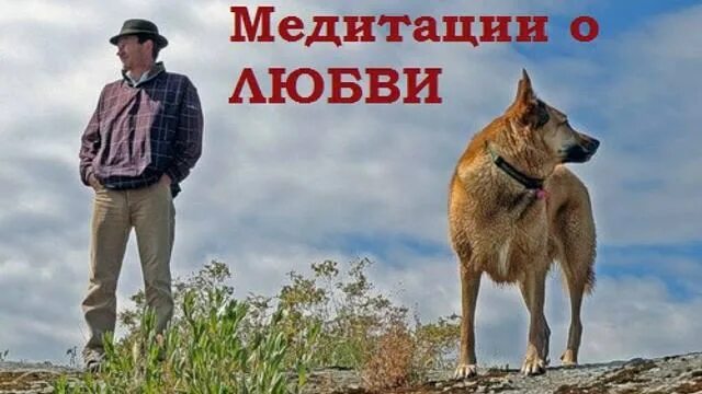 Медитация клауса джоула любовь. Медитация клауса джоула любовь. Анонс событий медитации. Деньги в вашей жизни книга. Медитация клауса джоула любовь.