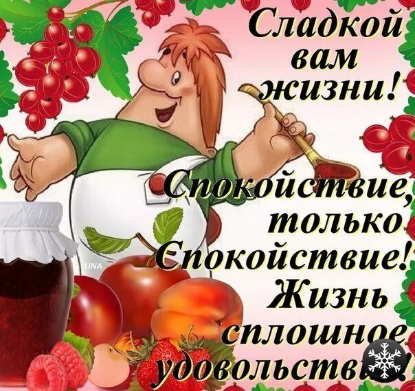 И только в пятницу после обеда. Открытка "кот". Цитаты про кофе и любовь. Хомячок с клубникой. Поела сладкого жизнь прекрасна выпила полусладкого вообще зашибись.