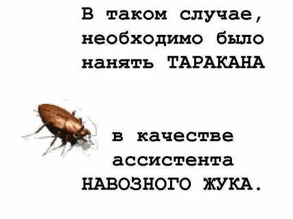 Анекдот муравей