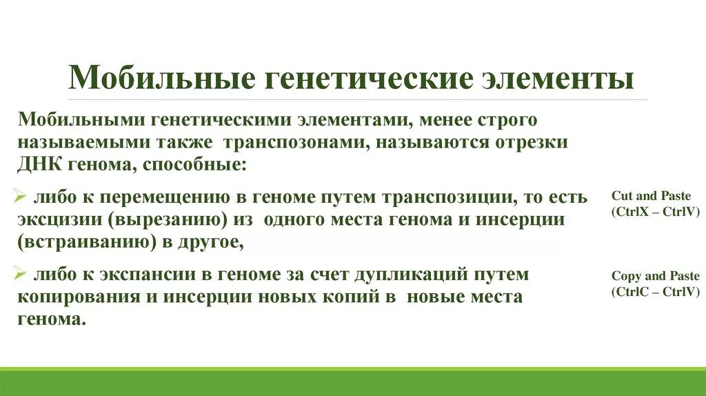 Перемещаться мобильно. Мобильные генетические элементы. Строение. Функции.. Мобильные генетические элементы эукариот. Мобильные генетическиелементы. Мобильные элементы генома.