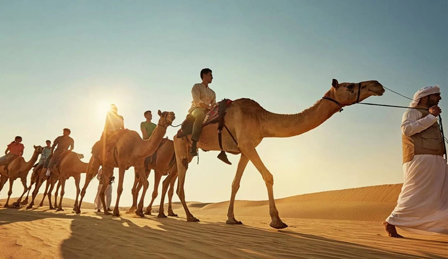 Пустыня ездить. Дубай Desert Safari. Верблюд сафари Дубай. Абу Даби верблюд. Сафари бедуины.