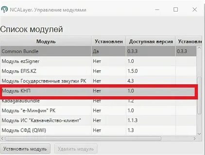 Кнп восмс