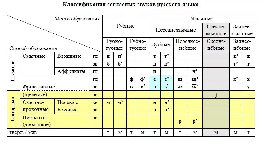 Место артикуляции. Классификация согласных звуков таблица. Классификация согласных звуков русского языка. Классификация согласных звуков русского языка таблица. Артикуляционная классификация согласных звуков таблица.