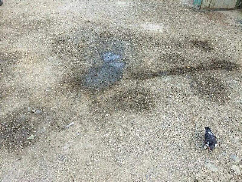 Крым саки аэродром новофедоровка. Мэр города саки 2022. Чп саки сегодня. Чп саки сегодня. Чп саки сегодня.