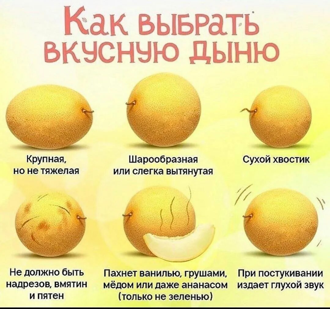 Как понять что дыня