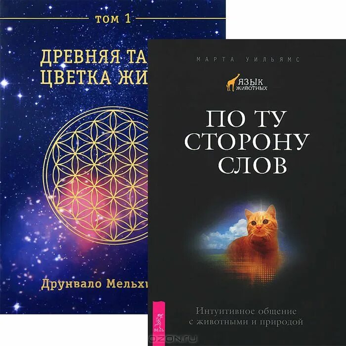 Книга тайны цветка жизни. Древняя тайна цветка жизни. Древняя тайна цветка жизни книга. Древняя тайна цветка жизни читать. Интуитивная коммуникация книга.