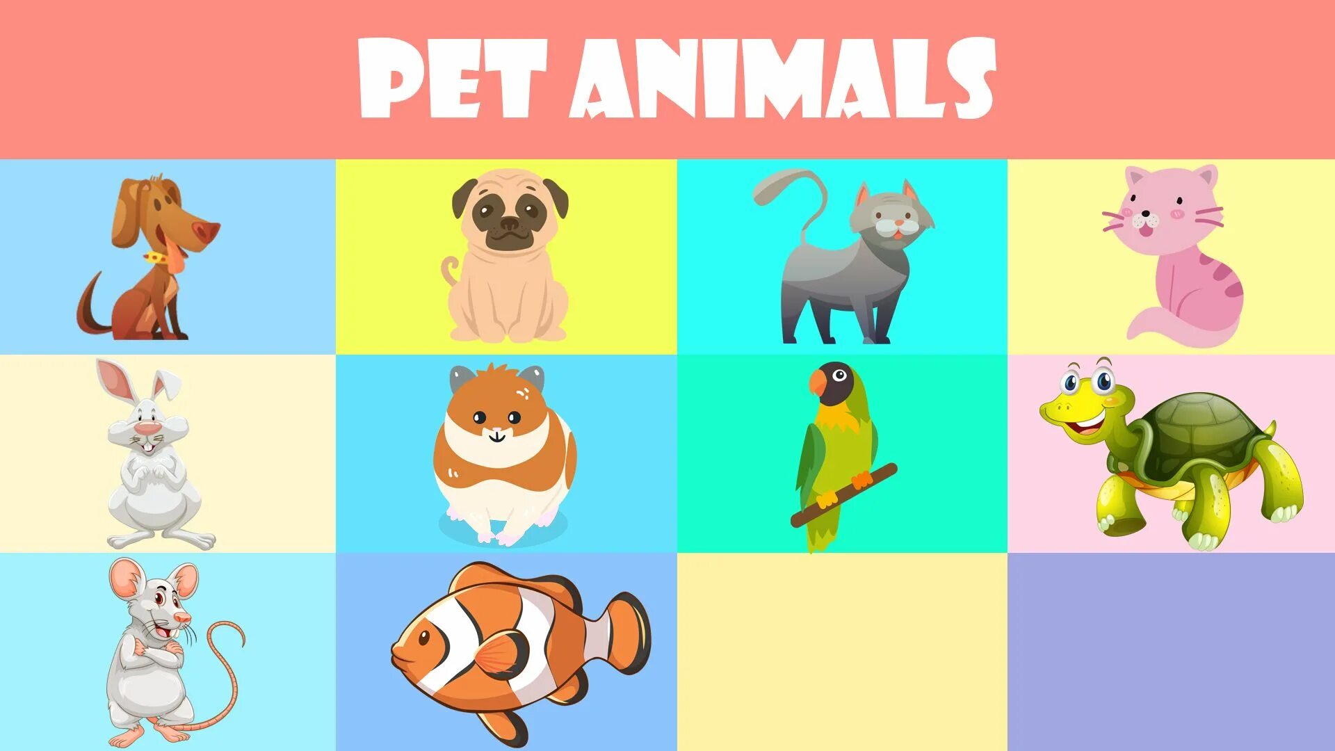 Animals for Kids. Pet animals for Kids. Карточки my Pets. Animals зуеылексика для детей. Pets vocabulary