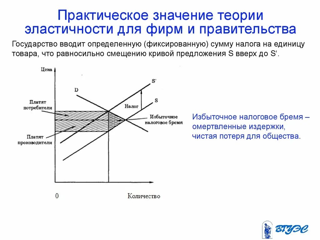 Эластичность спроса значение. Теория эластичности спроса и предложения. практическое значение эластичности. практическое значение теории эластичности. практическая значимость теории эластичности.