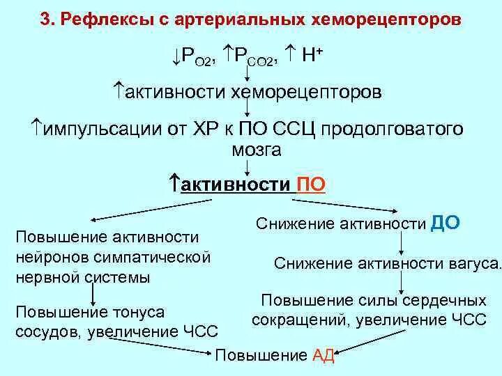 Рефлекс хеморецепторов