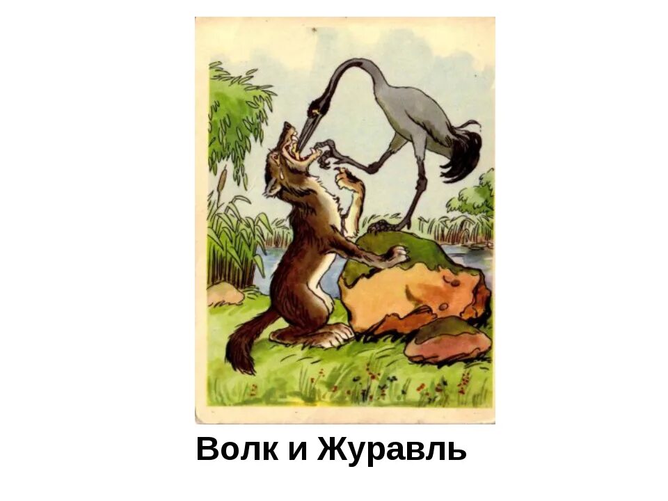 Волк журавль толстой. Крылов басня волк и журавль. И Крылов волк и журавль квартет. Басня Ивана Андреевича Крылова волк и журавль.