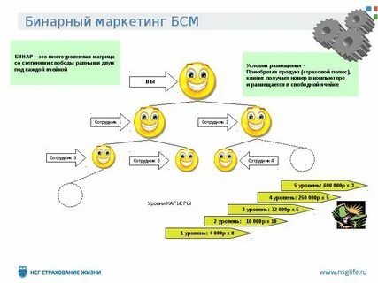 Бинарный маркетинг