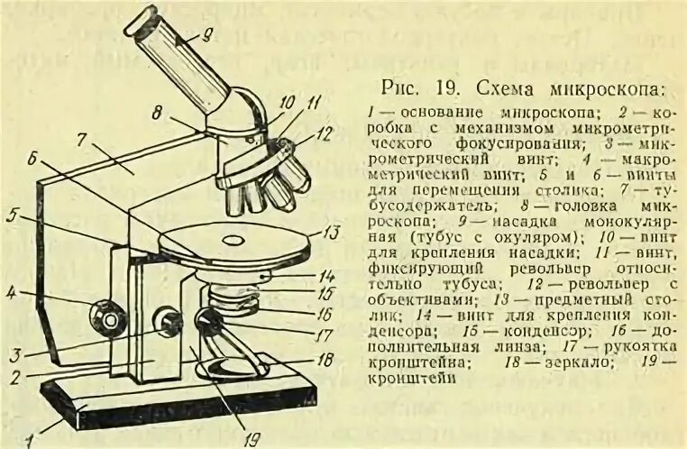 Анализ произведения микроскоп. Микроскоп Биолам строение. Строение микроскопа Микмед 1. Световой микроскоп Биолам строение. Микроскоп Биолам схема.