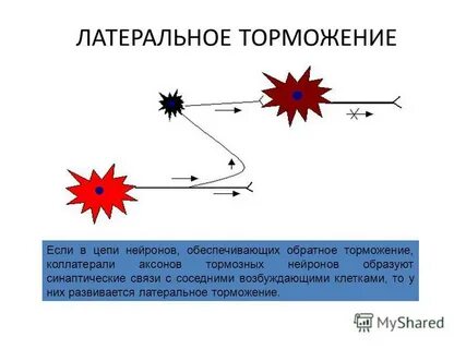 Функциональное значение возвратного торможения