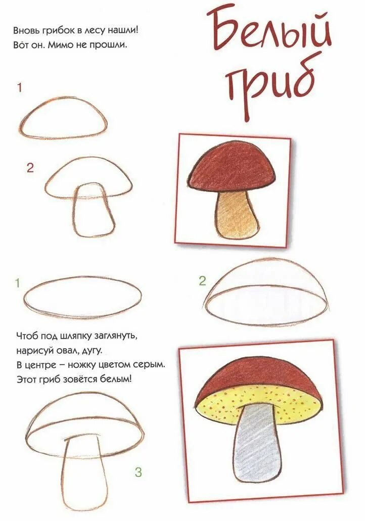 Грибы поэтапно. Рисуем гриб поэтапно для детей. Схемы рисования грибов для дошкольников. Поэтапное рисование гриба для дошкольников. Как нарисовать гриб поэтапно.